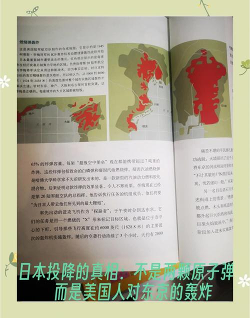 揭秘：日本教科书如何呈现二战历史？