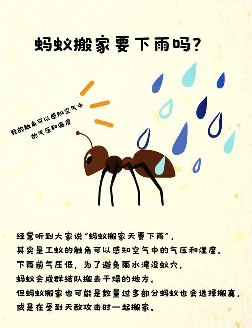 古代粉底的秘密：蚂蚁庄园为你揭晓答案