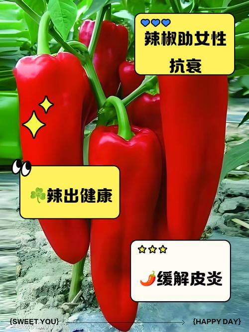 辣椒传入中国后，诗人们都吃过吗？