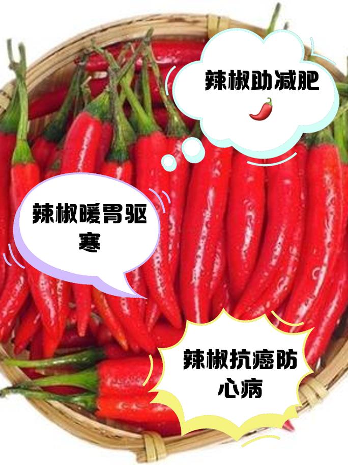 辣椒传入中国后，诗人们都吃过吗？