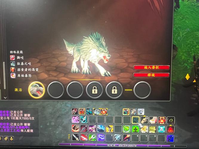 猎人LR宝宝技能详解：新手必看实用攻略