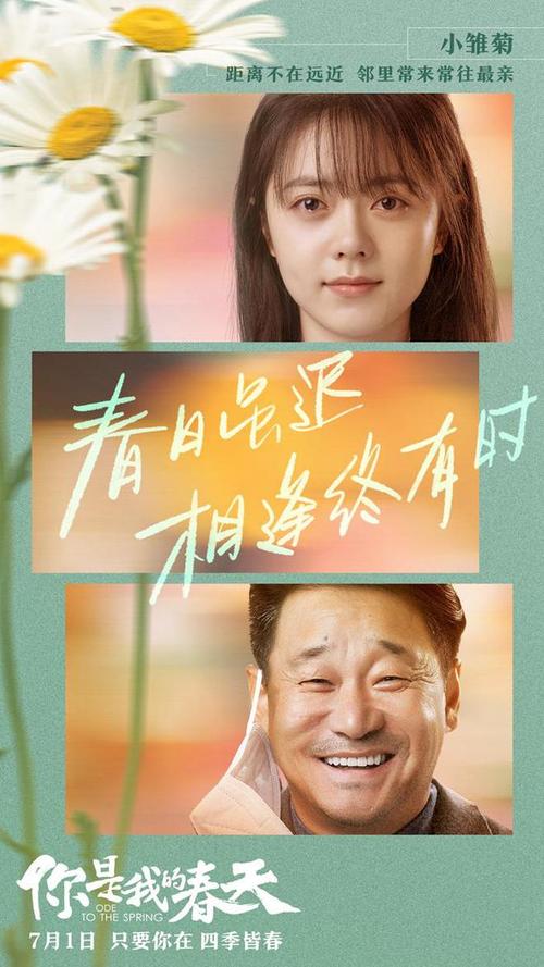 拯救电视剧全集：江珊佟瑞欣演绎的动人故事