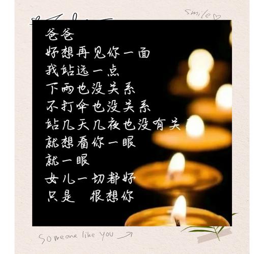 爸爸的心愿：一位父亲的无声告白