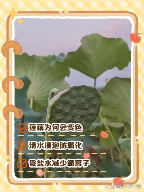 切开的莲藕变黑是坏了吗？教你辨别是否还能食用