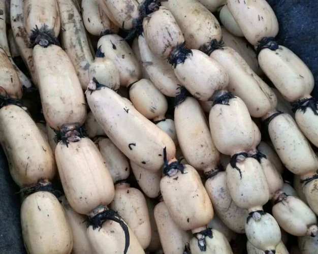 切开的莲藕变黑是坏了吗？教你辨别是否还能食用