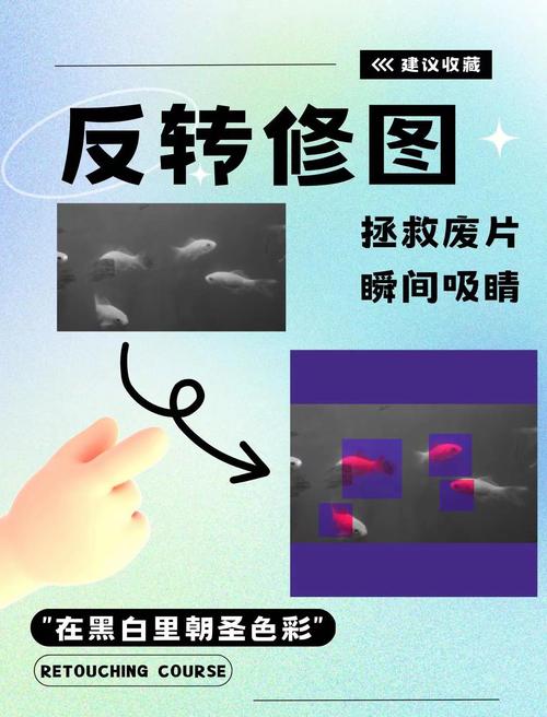 如何用PS做出惊艳的反转片效果？