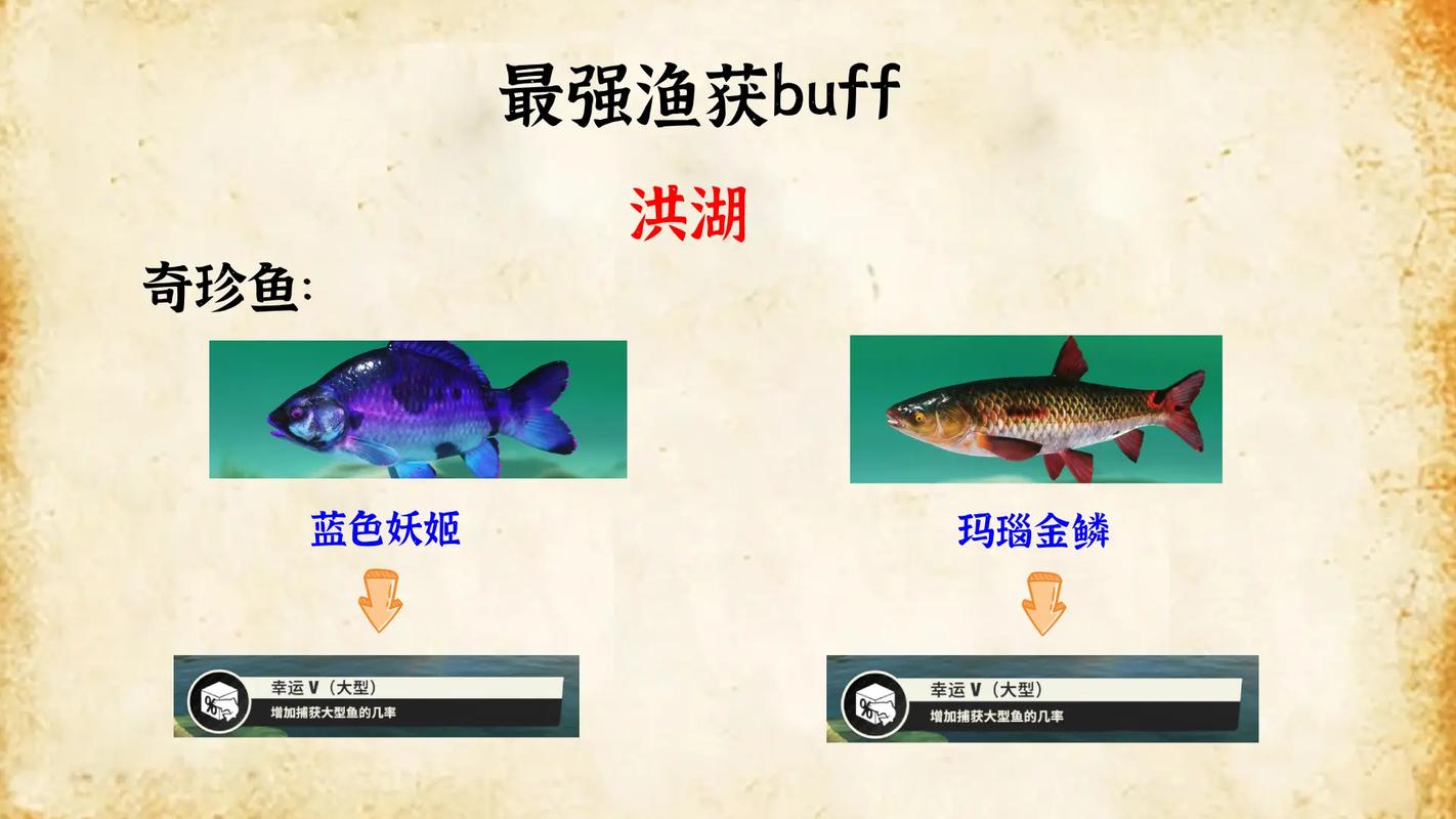 WOW钓鱼点推荐：高效钓鱼，获得最佳渔获