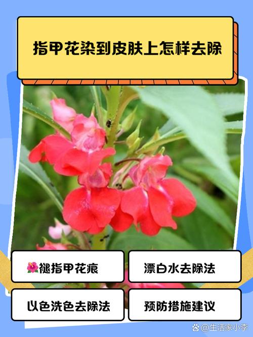 指甲花其实是啥？揭秘童年染指甲的植物秘密！