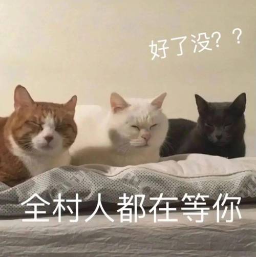 开端表情包免费下载，超多沙雕表情等你收藏