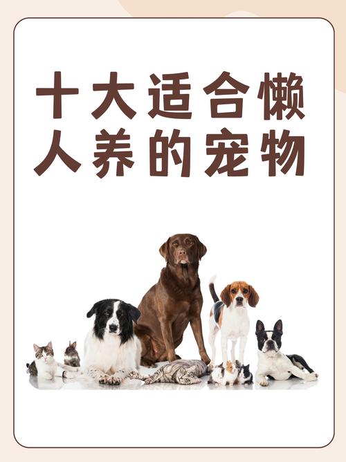 想养宠物但没时间？试试这些手机养宠游戏吧！