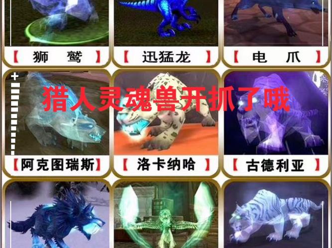 祖达克灵魂兽：猎人必备坐骑获取指南，附详细刷新点