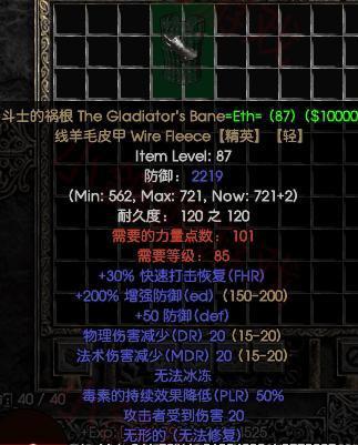 暗黑2：斗士的祸根，新手必备还是鸡肋？