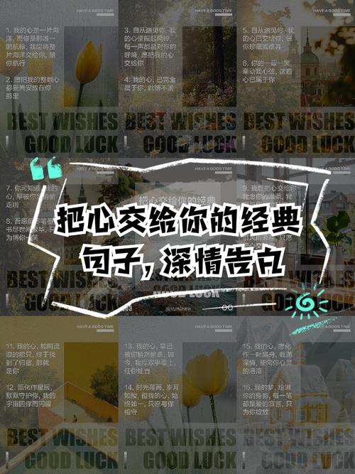 把心都献给你：深情告白的浪漫瞬间