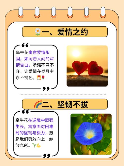 把心都献给你：深情告白的浪漫瞬间