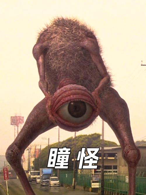 亚马逊丛林探秘：寻找传说中的独眼小怪