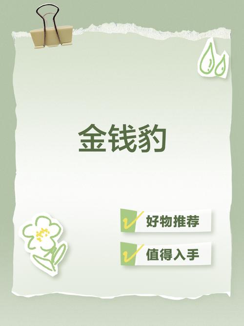 最全金钱豹攻略：图文详解，简单易懂，一看就会
