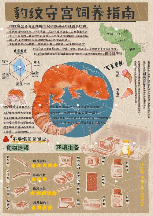 最全金钱豹攻略：图文详解，简单易懂，一看就会