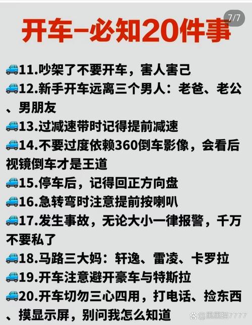 热血无赖开车玩法详解：掌握技巧玩转开放世界