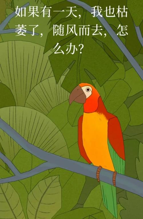 孤独的鸟儿：治愈系手游，带你感受心灵宁静