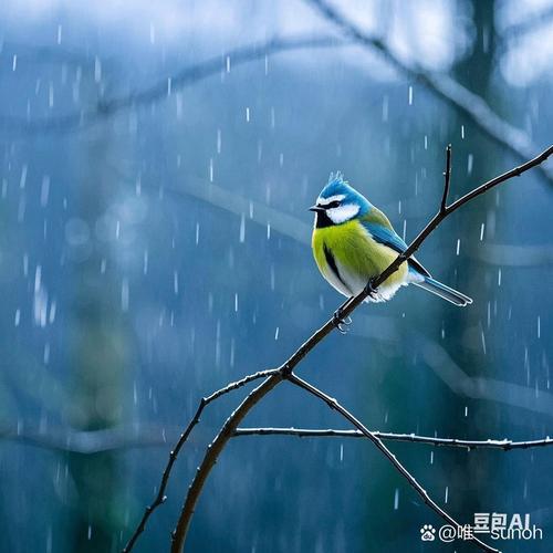 孤独的鸟儿：治愈系手游，带你感受心灵宁静