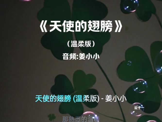 受伤的翅膀：这首歌，适合在深夜静静聆听