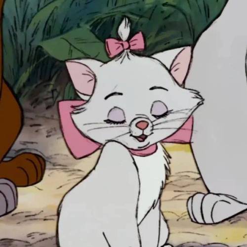 猥琐猫玛丽：不一样的超级玛丽，不一样的游戏体验