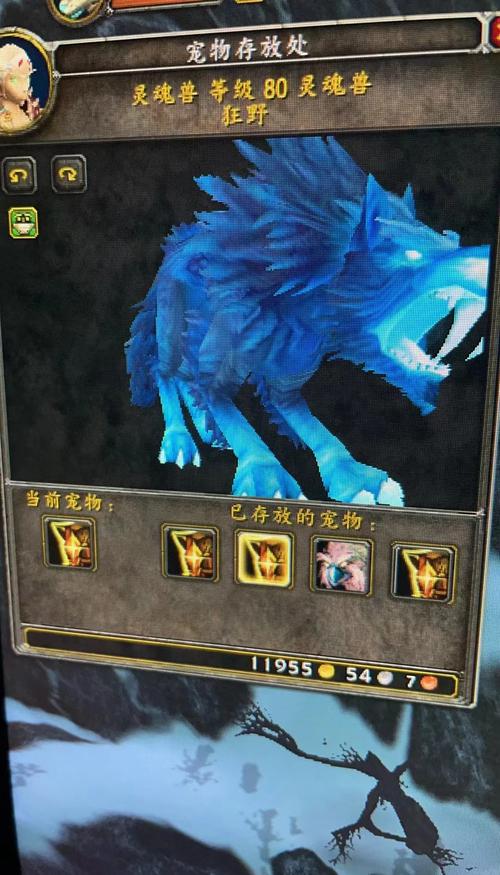 完整版魔兽世界灵魂兽大全：图文详解及技巧分享