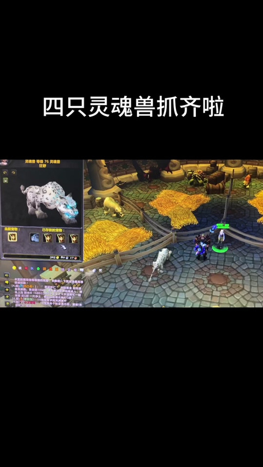 完整版魔兽世界灵魂兽大全：图文详解及技巧分享
