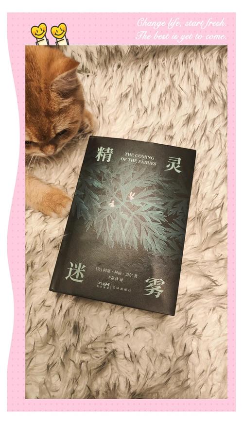 17-4迷雾：揭秘小镇恐怖迷雾背后的真相