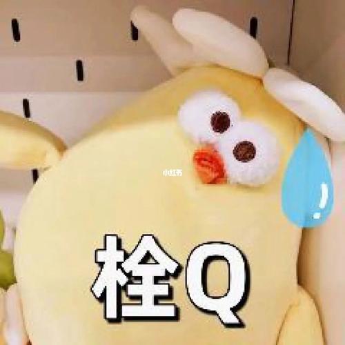 栓q是什么意思？详解“栓q”的多种含义及用法