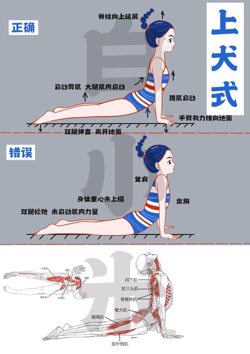 怎么练成最强body？(跟着这些方法轻松实现)
