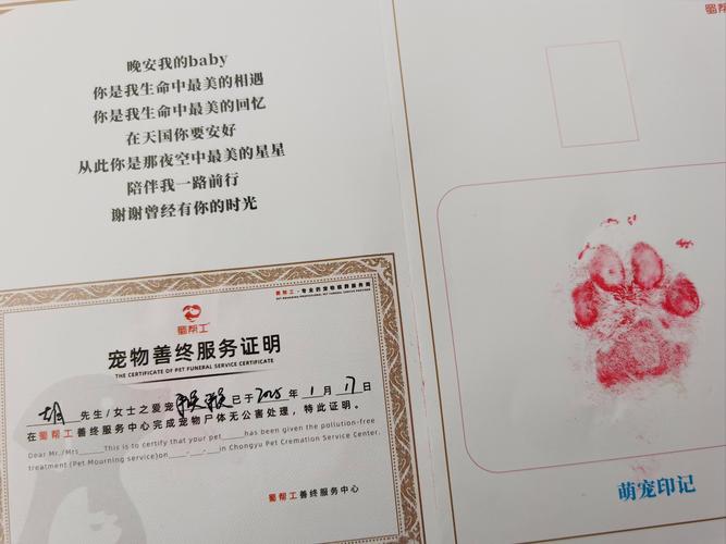 宠物饲养许可证过期了怎么办？补办流程其实不麻烦！