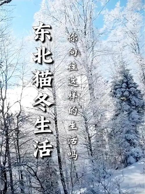 猫冬是什么意思？北方人常说的猫冬到底指什么呀？