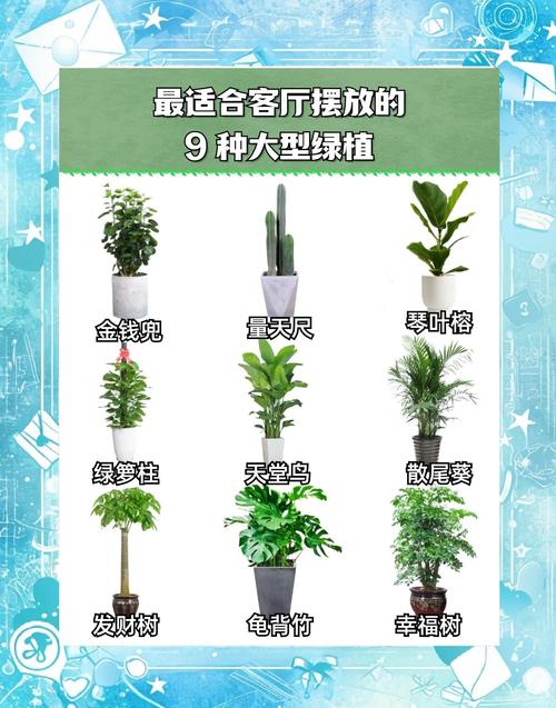 以下哪种植物能净化空气？新家装修后必备这几种！