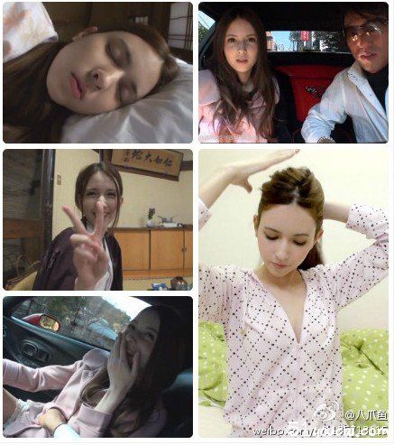 哪里能求泷泽萝拉种子？试试这些地方也许有收获。