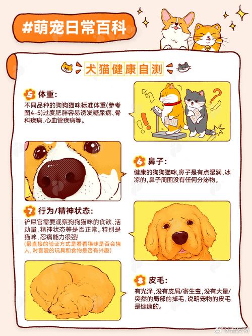 可爱宠物消消看怎么才能获得高分？几个小诀窍让你成为大神！