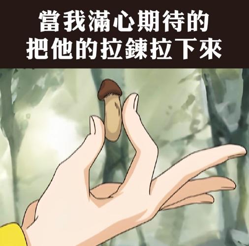我很大你忍一下避免错误？行家分享实用避坑指南！