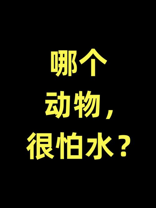 什么动物最怕水？它们为啥怕水真相曝光！