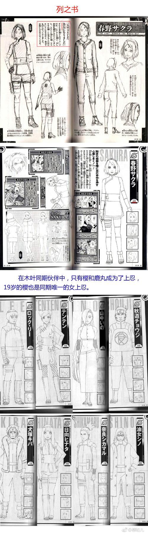 火影忍者分析网隐藏线索揭秘法(轻松发现剧情奥秘)