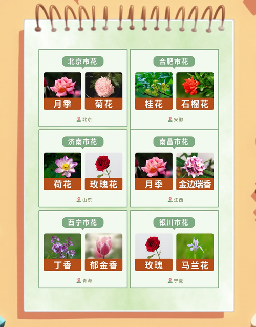 以花命名的城市有哪些？(全球5个必去花城推荐！)