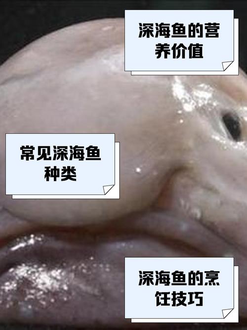 深海鱼5分钟截屏有哪些技巧？达人分享实用秘籍攻略！