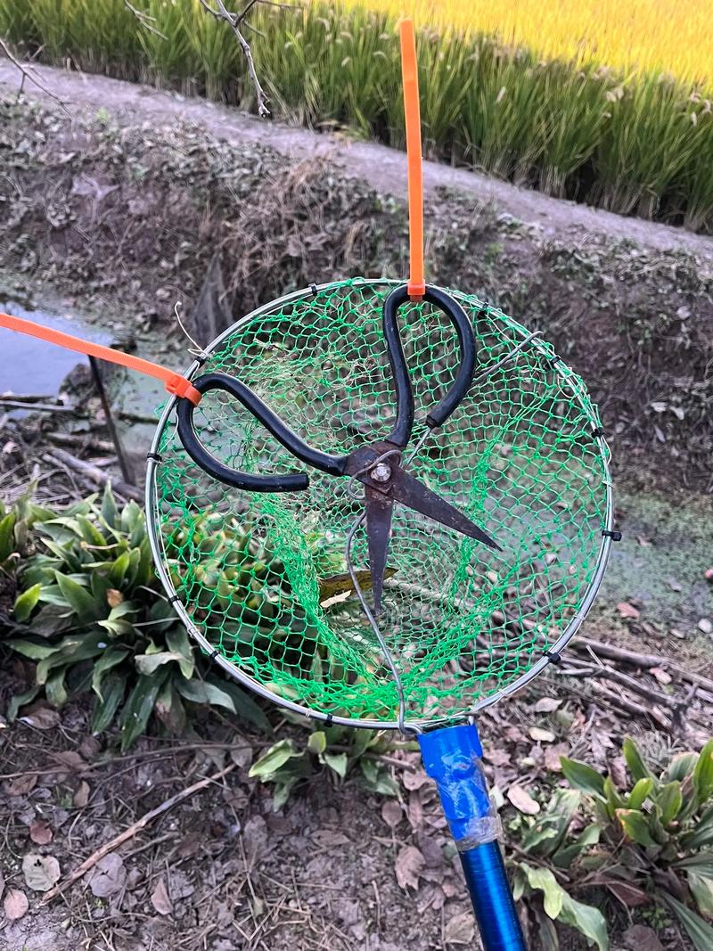 揽柿子使用工具推荐？(高效采收必备装备列表)