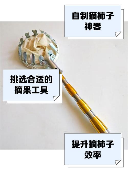 揽柿子使用工具推荐？(高效采收必备装备列表)