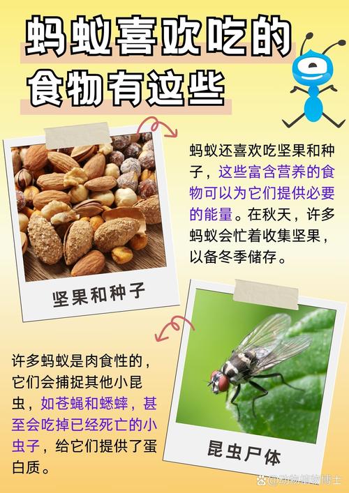 常吃苏打饼干蚂蚁怎么回事？搞懂这三大常见原因表现