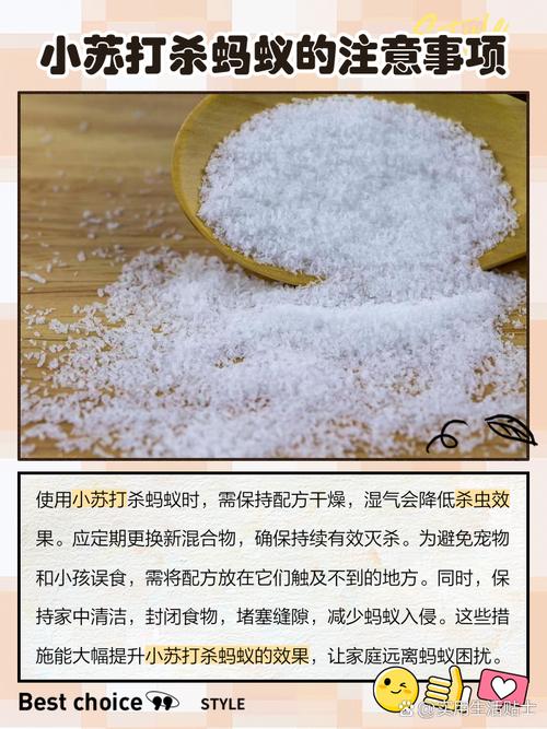 常吃苏打饼干蚂蚁怎么回事？搞懂这三大常见原因表现
