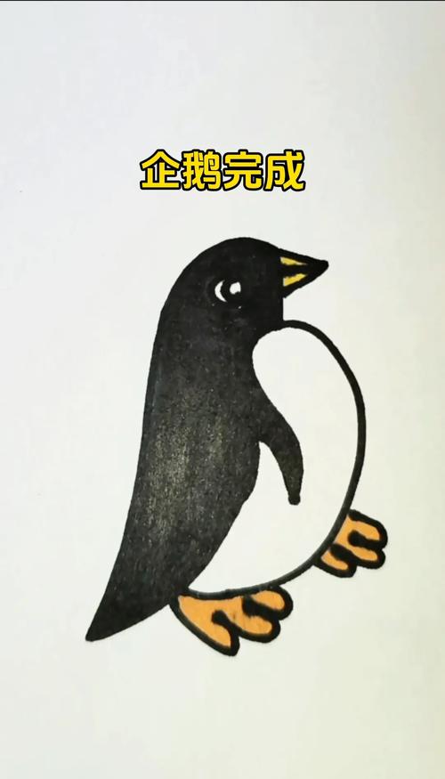 企鹅是恒温动物吗？简单科普体温机制真相