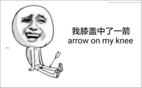 我的膝盖中了一箭是什么梗？(超简单解释一看就懂)