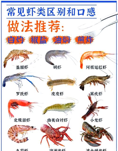 基围虾主要得名是指啥？渔民告诉你这个有趣说法！