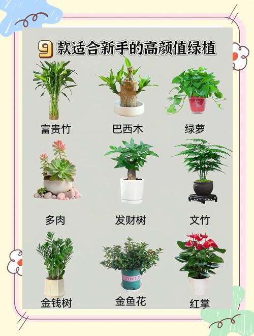 下列哪种植物适合新手种？简单栽培秘诀大揭秘！