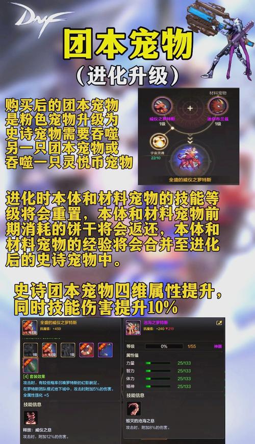 dnf宠物进化步骤详解？老玩家经验轻松入门！